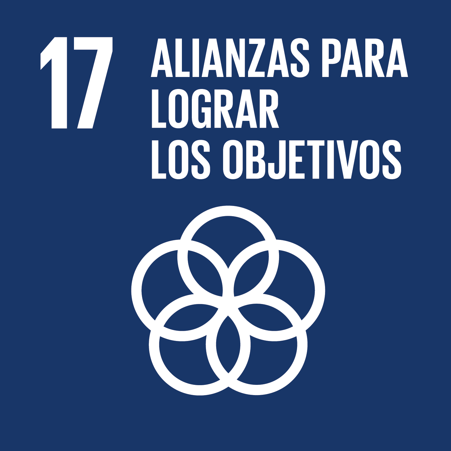 Objetivo 17: Revitalizar la Alianza Mundial para el Desarrollo Sostenible